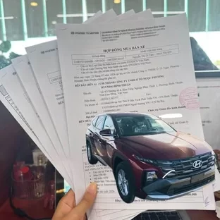 hoạt động Hyundai Bình Thuận 20163
